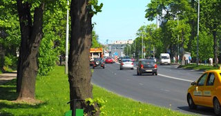 Посадка деревьев и кустарников в Красном Сулине — стоимость от 1225 руб.