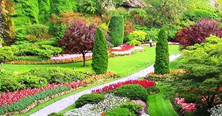 Ландшафтный дизайн садового участка в Красном Сулине в октябре